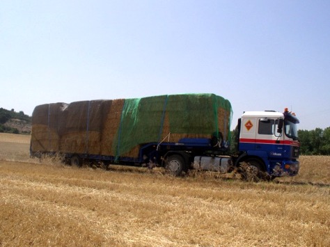 Galeria de Servicios ASKAN NORTE